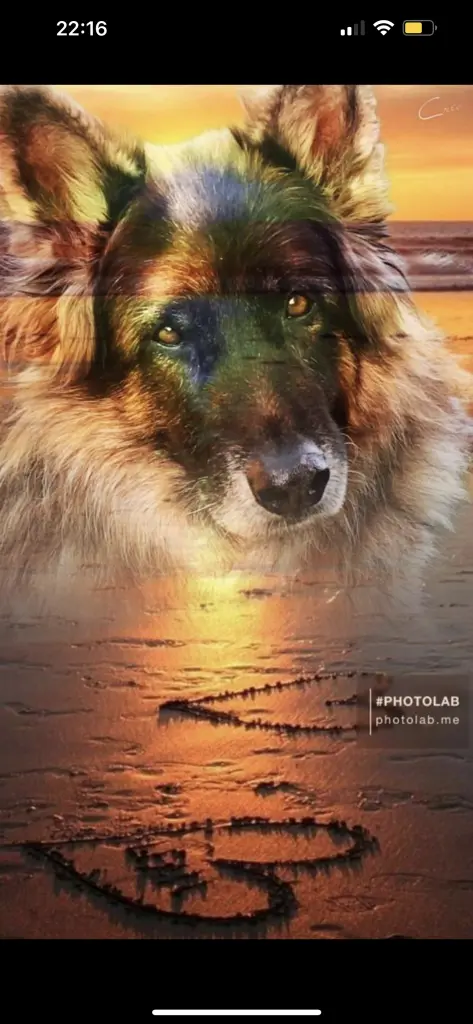 Image from Bandit 