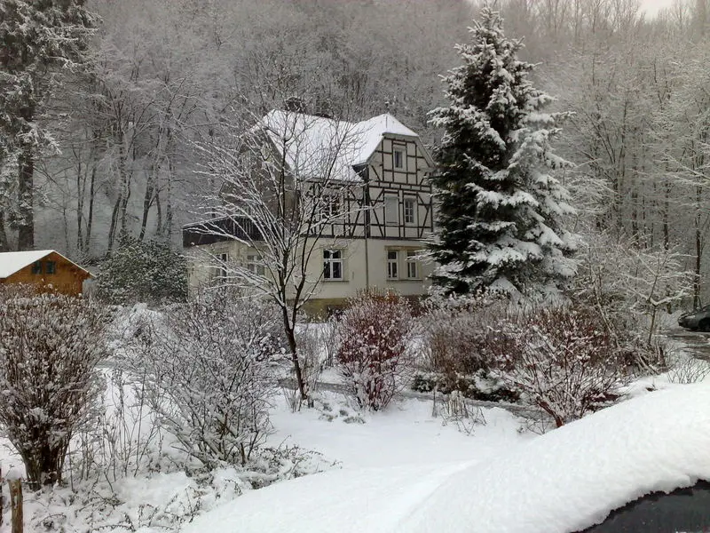 Image from Arthur