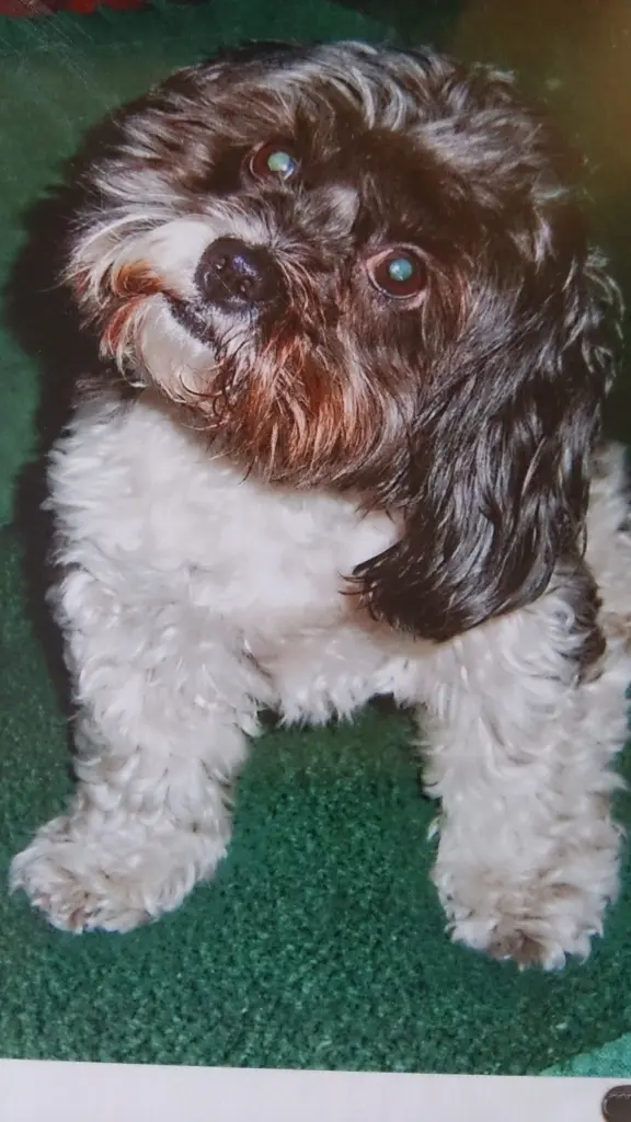 Condolence image of Sigrid