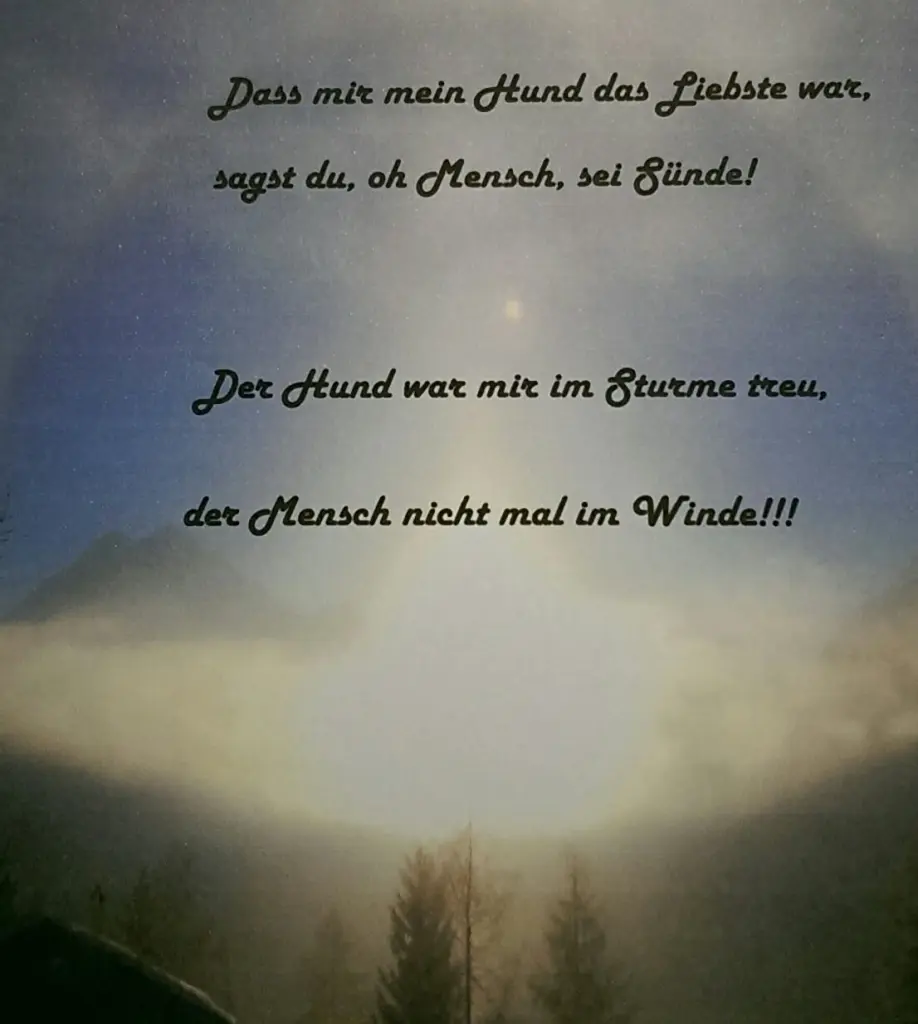 Image from Bela
