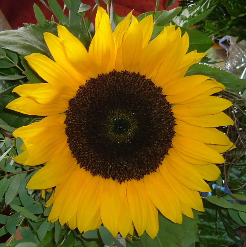 Condolence image of Karin
