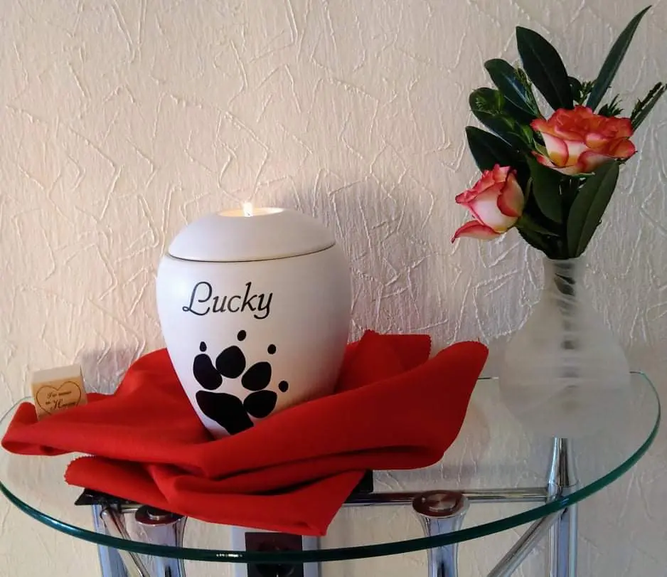 Image from Lucky