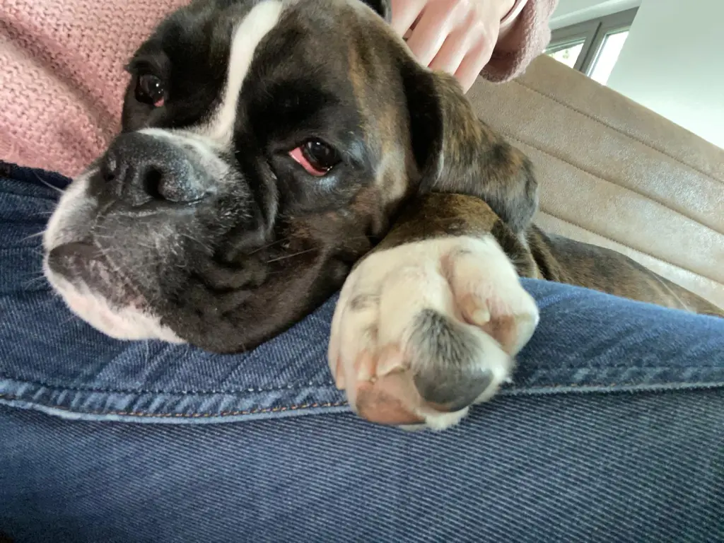Condolence image of Markus