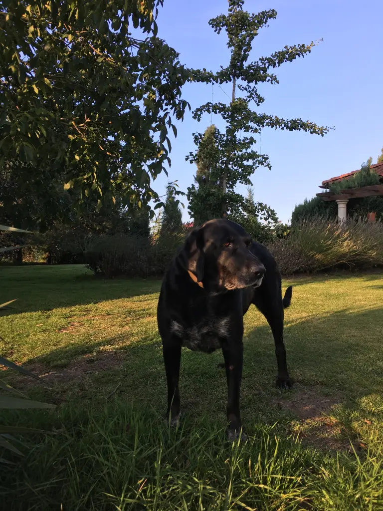 Image from VITA vom Lehmhoff