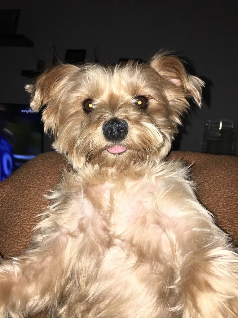 Image from Ella