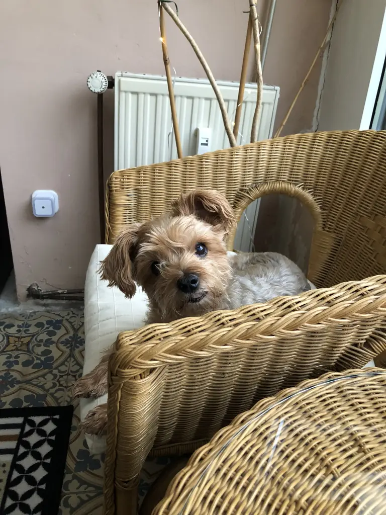 Image from Ella