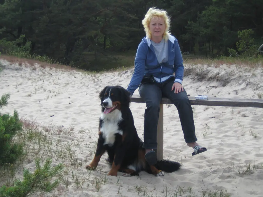 Condolence image of Dorin mit Mephisto im Herzen 