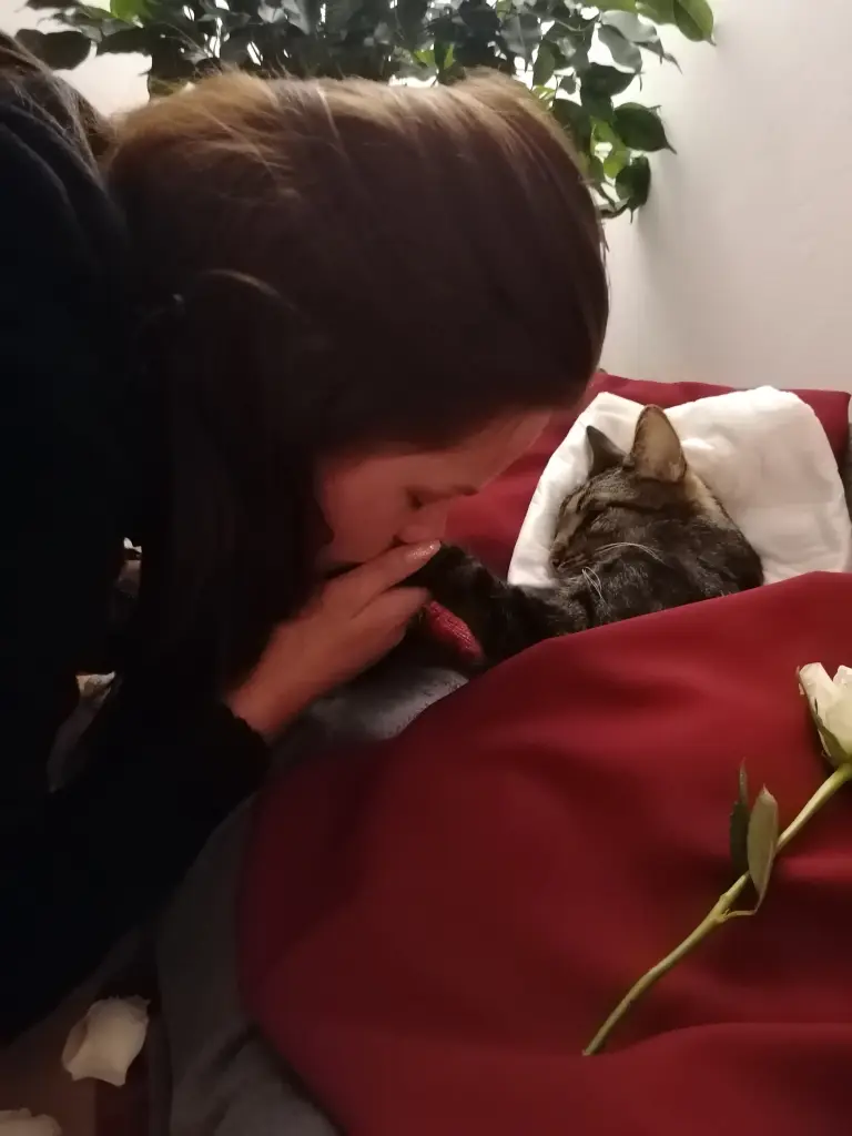 Condolence image of Selina
