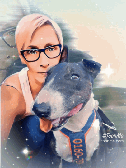 Mein Seelenhund