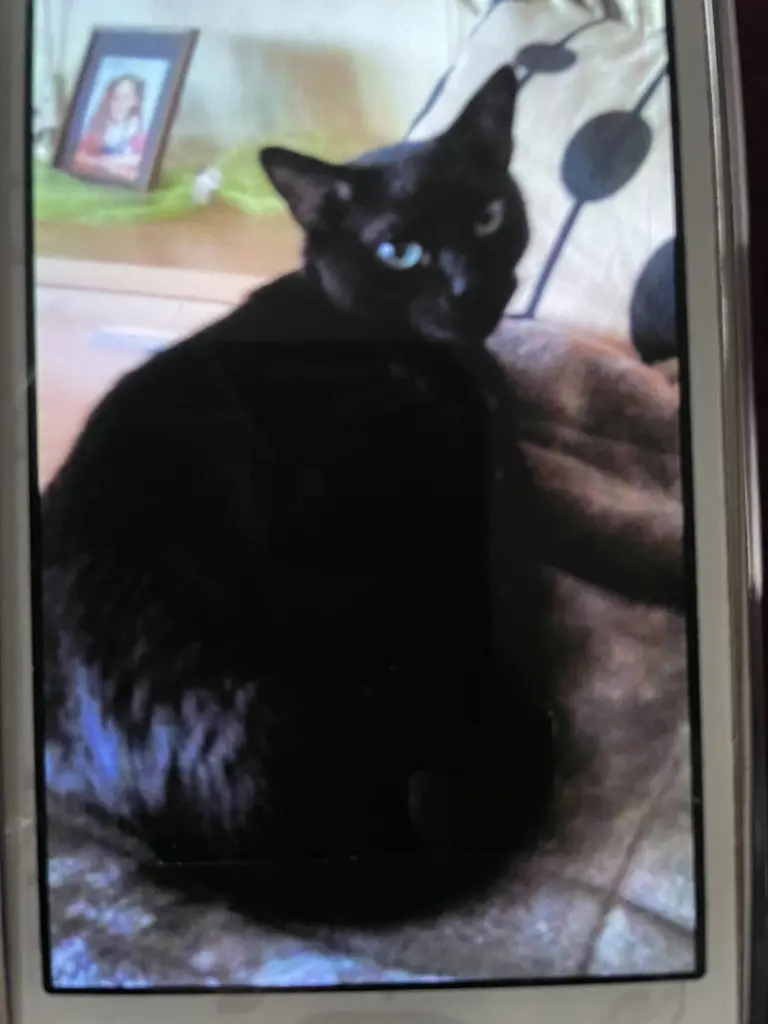 Condolence image of Claudia