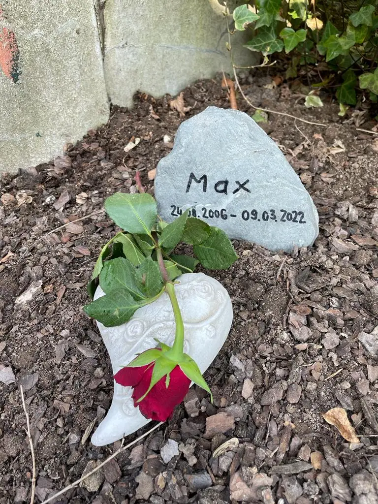 Image from Max