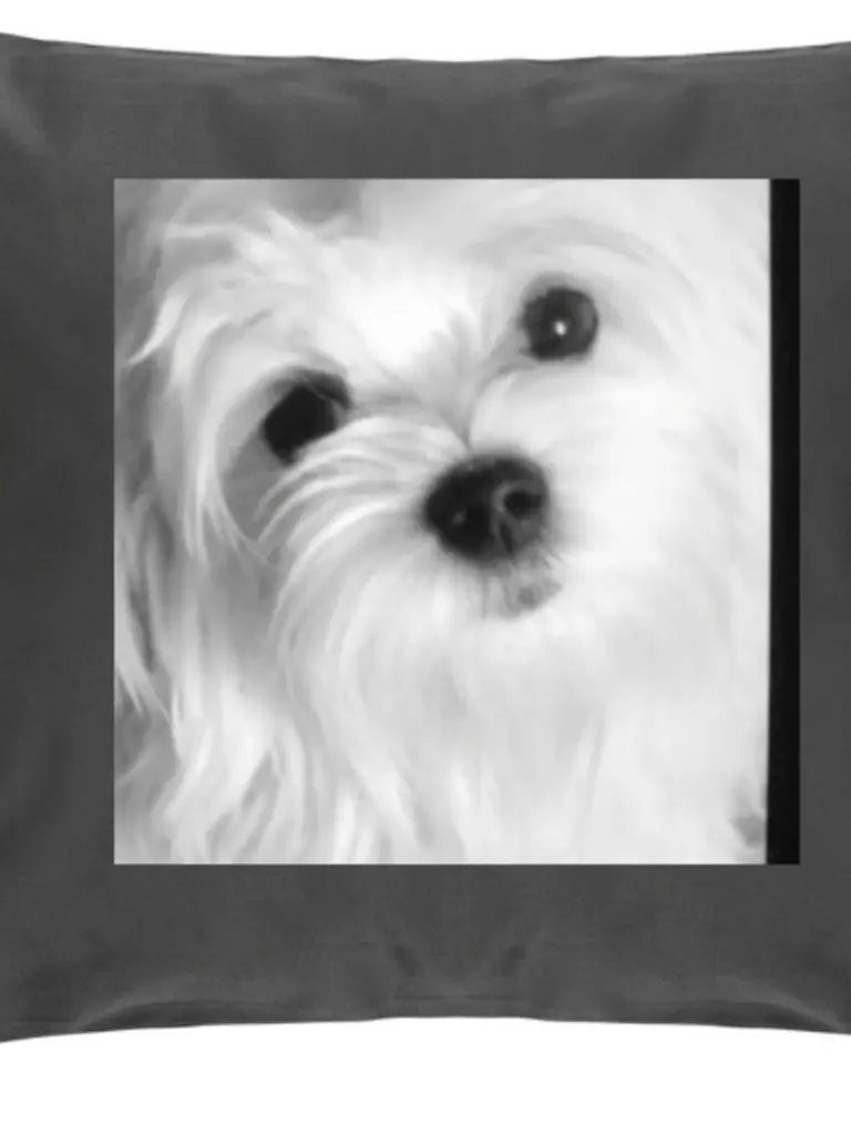 Condolence image of Brigitta mit Seelenhund Lino
