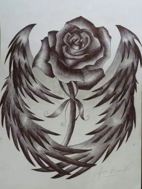 Image from Sammy