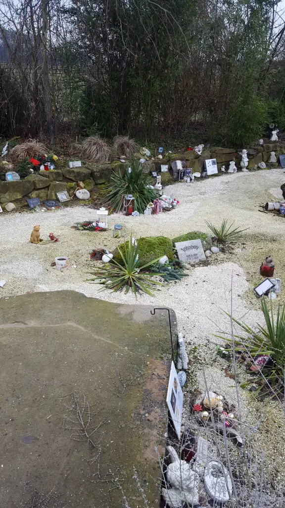 Condolence image of Yvonne
