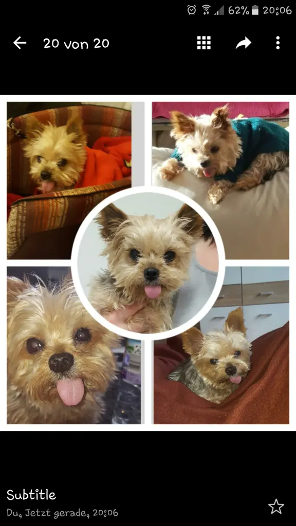 Image from Gysmo