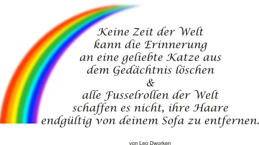 Condolence image of Katrin mit Katzi im ❤️