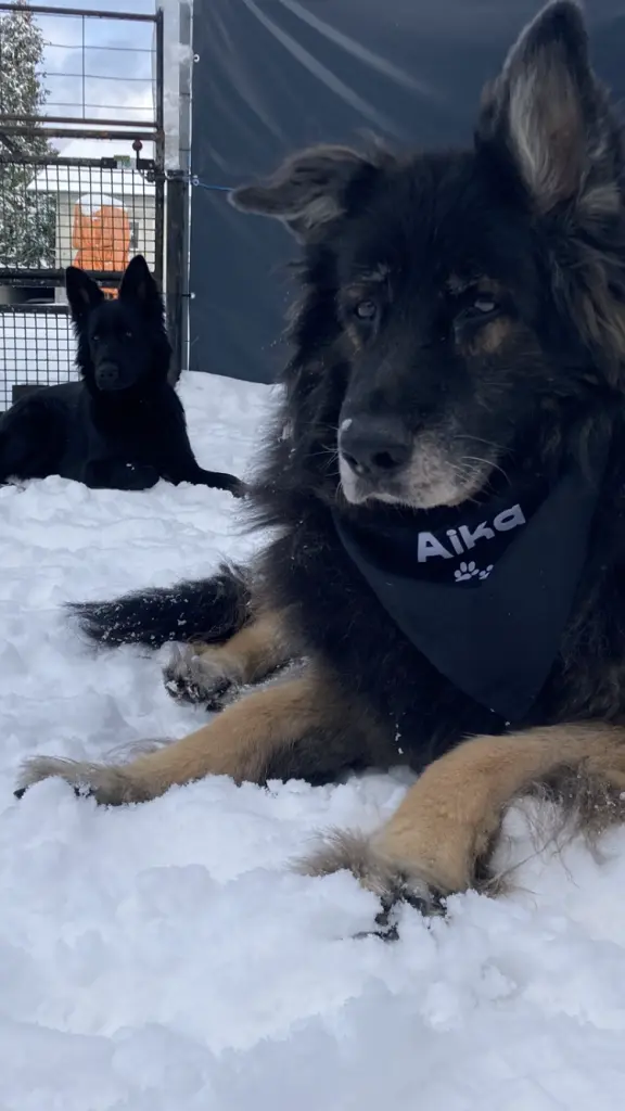 Image from Aika