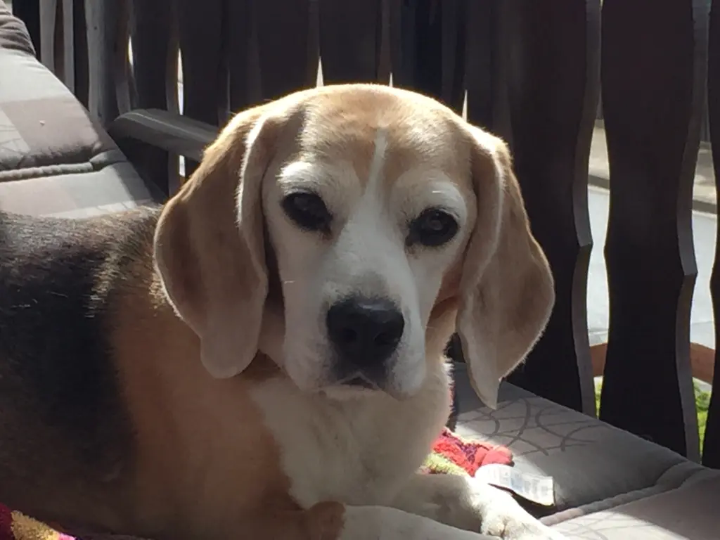 Condolence image of Heidi