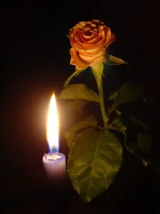Condolence image of Elvira