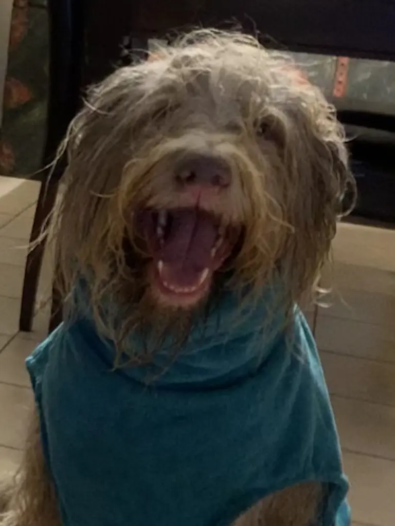 Image from Ernie