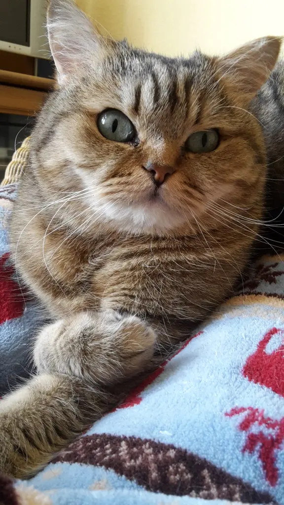 Andachtsbild von HEIKE mit Dusty❤