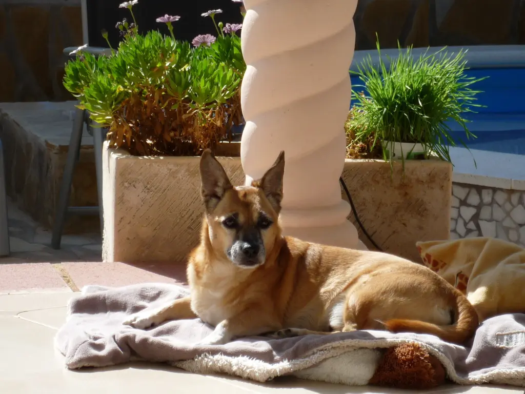 Image from Godi