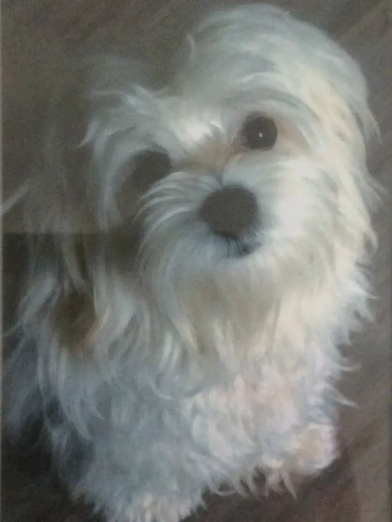 Condolence image of Brigitta