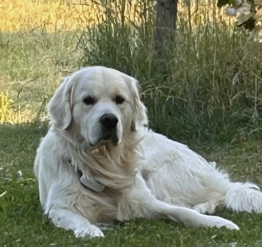 Condolence image of Gabi
