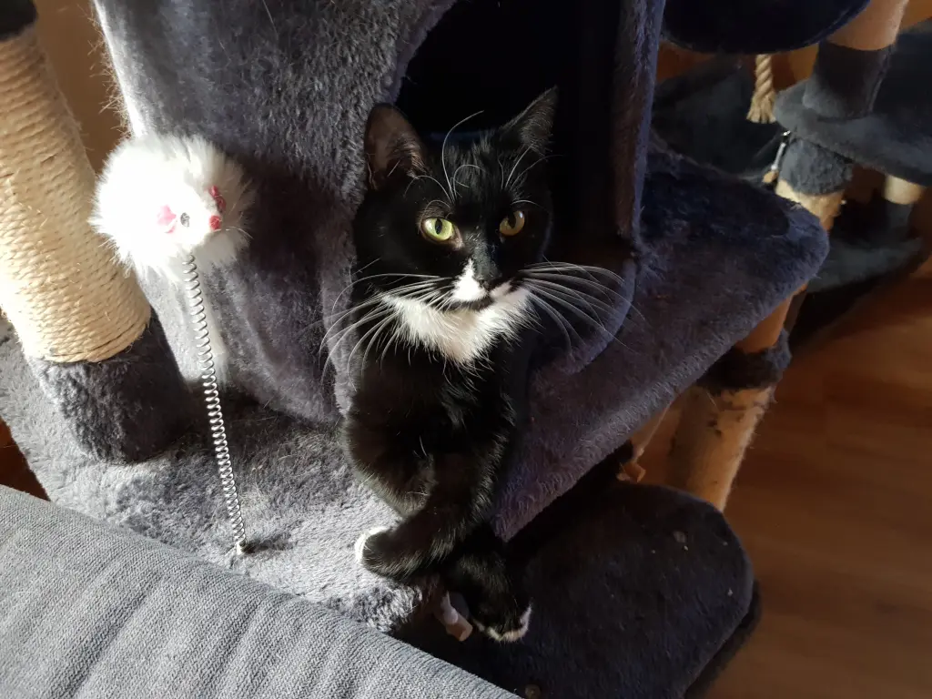 Bild von Bria