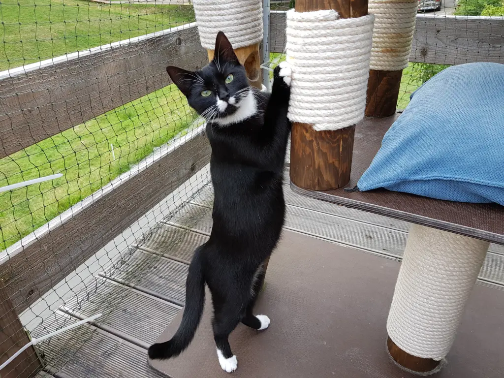 Bild von Bria