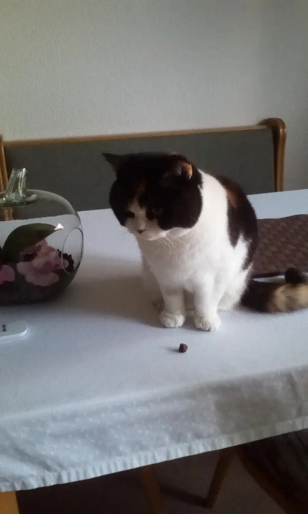 Condolence image of Elisabeth