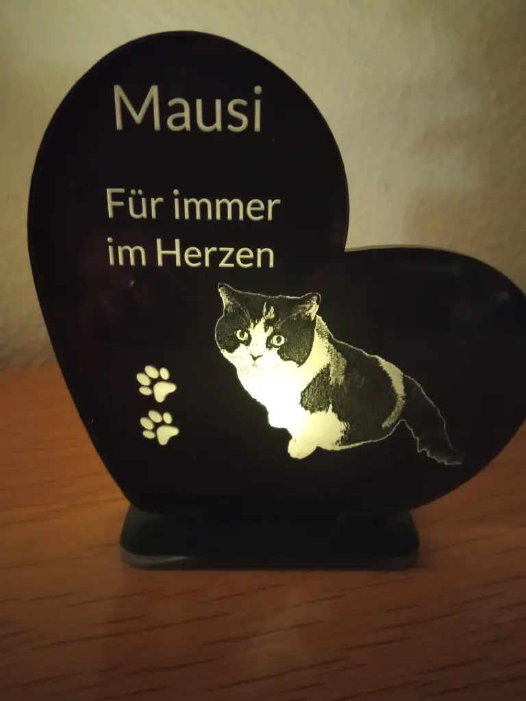 Image from Mausi