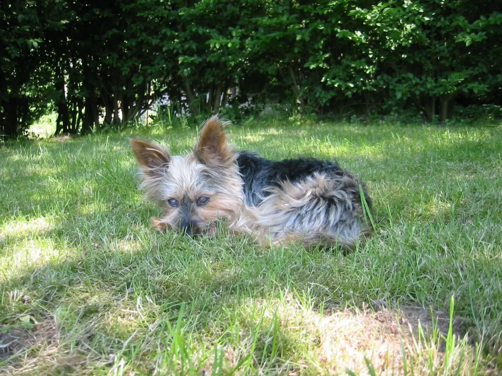 Condolence image of Martina