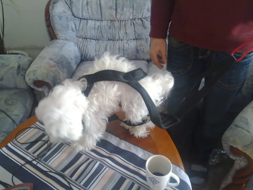 Image from Rania