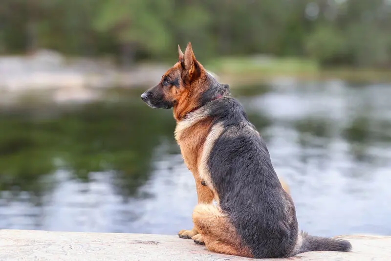 Condolence image of Petra, Njoy, Carlos und Reinhard