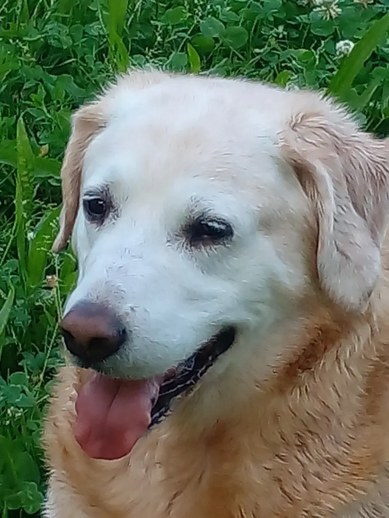 Condolence image of Biljana