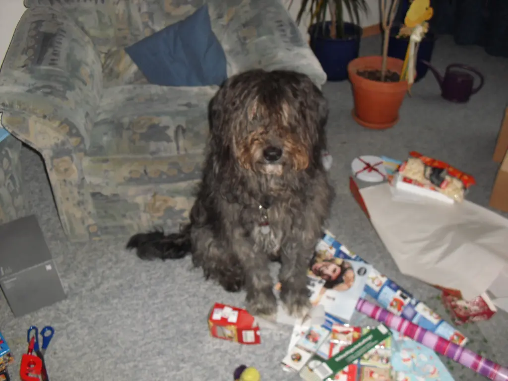 Condolence image of Tanja