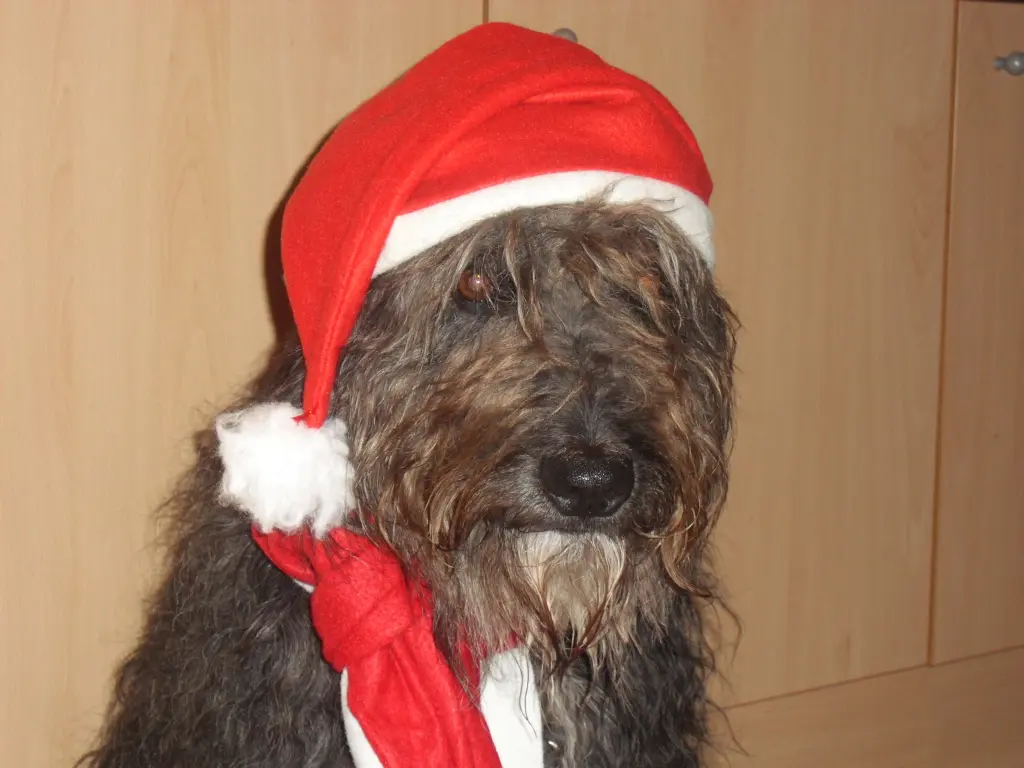 Condolence image of Tanja
