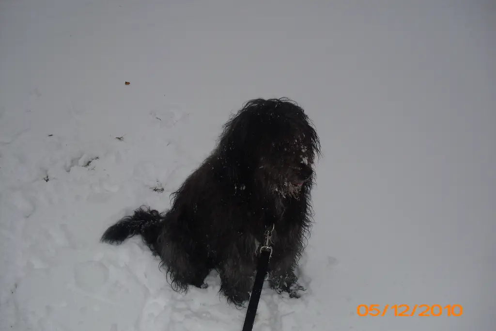 Condolence image of Tanja