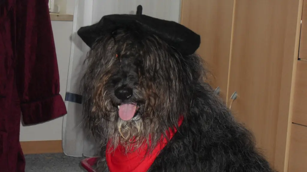 Condolence image of Tanja
