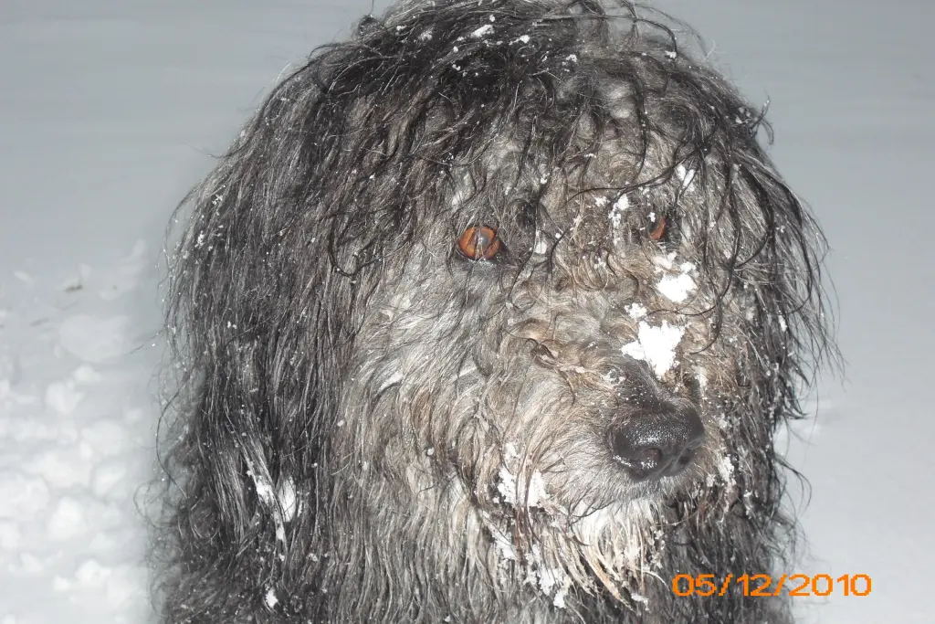 Condolence image of Tanja
