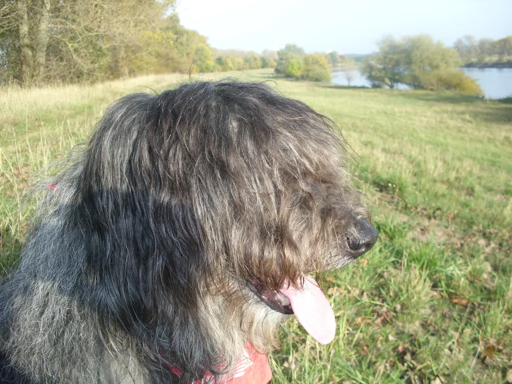 Condolence image of Tanja