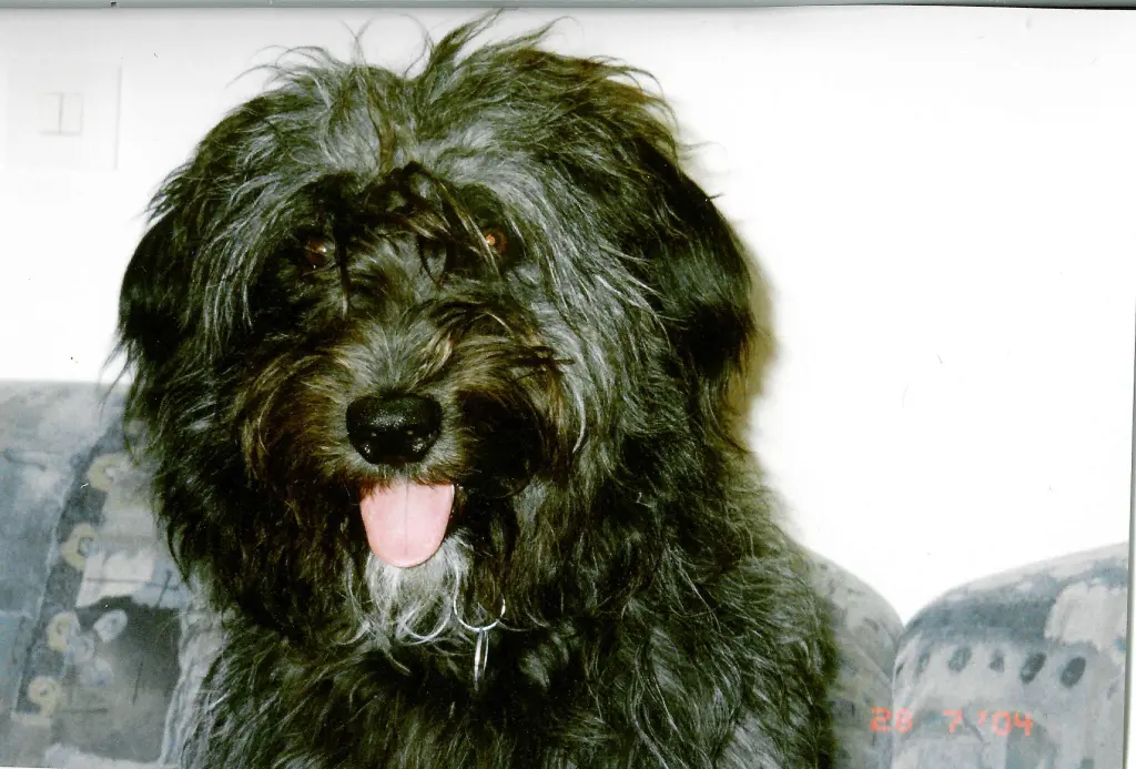 Condolence image of Tanja