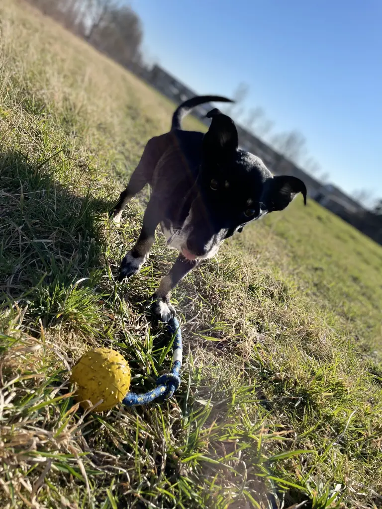 Image from Spike