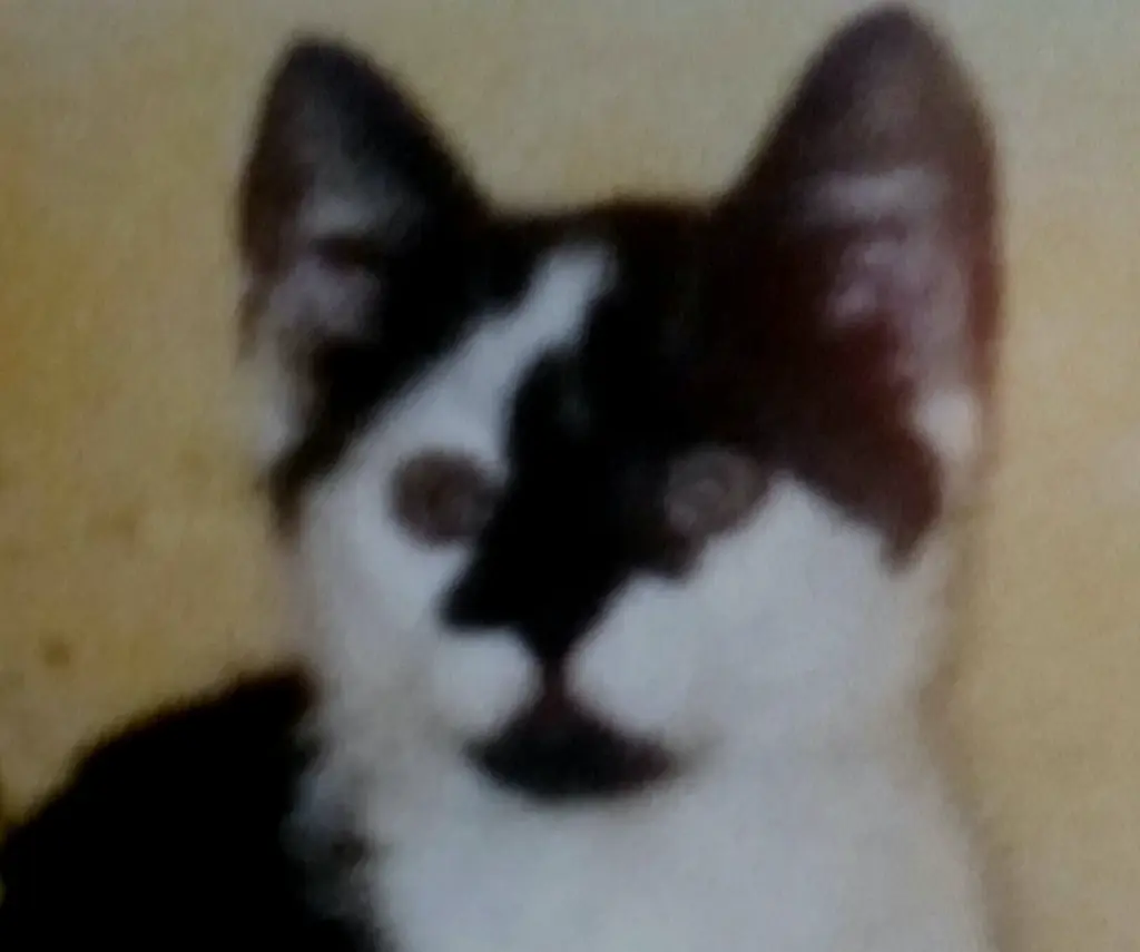 Andachtsbild von Annemarie und Elke mit Snoopy im Herzen gest 04.01.2022