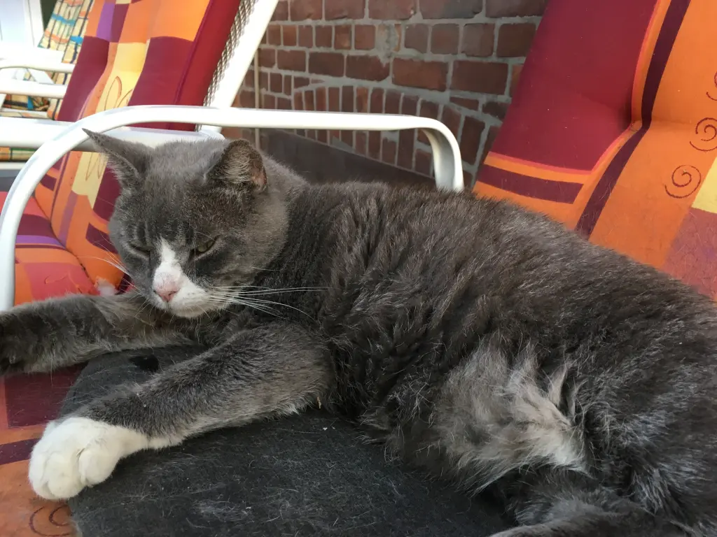 Andachtsbild von Andrea mit Socke +17.2.2022