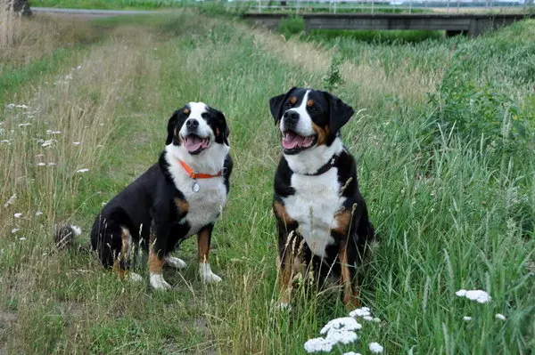 Condolence image of Moni und Frank mit lovely Anni Ringel