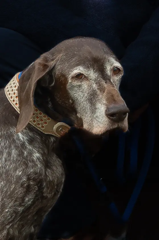 Condolence image of Simone