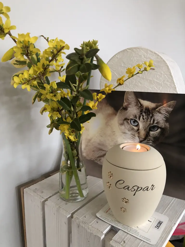 Image from Caspar