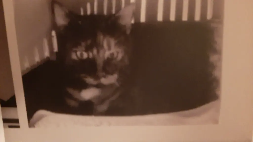 Condolence image of Heike mit Cleo im ❤